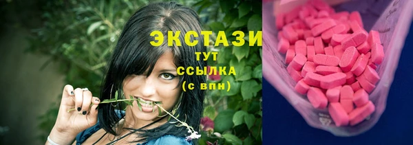 сатива Верея