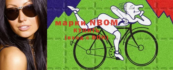 сатива Верхний Тагил