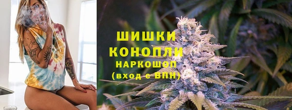сатива Верхний Тагил