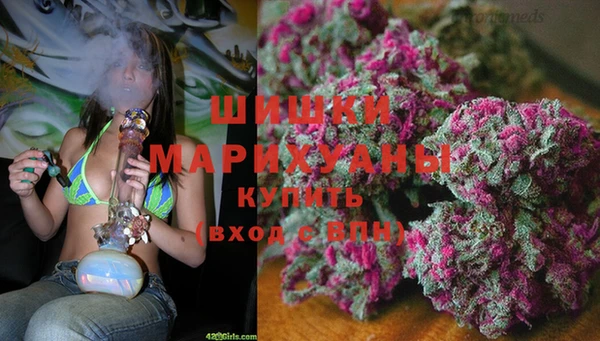 сатива Верея