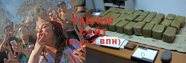сатива Верея