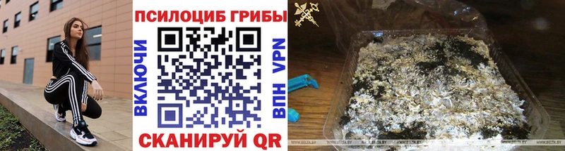 Галлюциногенные грибы мицелий  Енисейск 